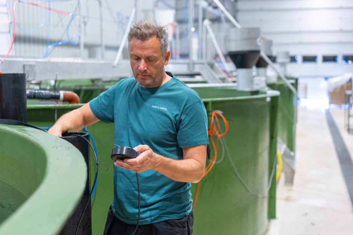 Ansatt måler temperatur i fisketank